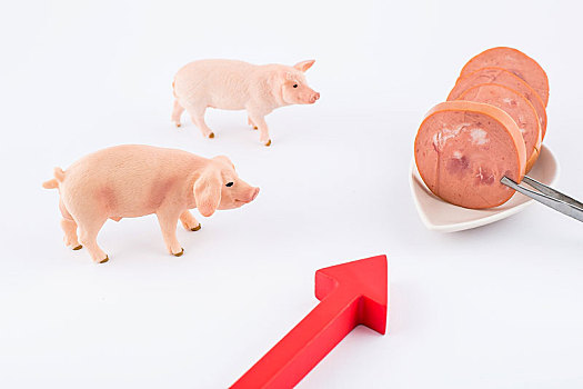 选择,真正的,猪肉,或是,人造肉,分为,两种,其中,一种,又称,大豆蛋白,另一种,利用,动物,干细胞,制造出