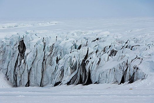 北极熊,休息,浩大,冰河,风景,远景,巴伦支海,岛屿,斯瓦尔巴特群岛,挪威