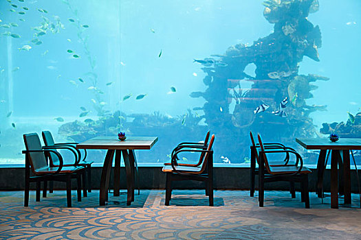酒店水族餐厅