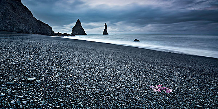 冰岛,石头,针,海洋,大西洋