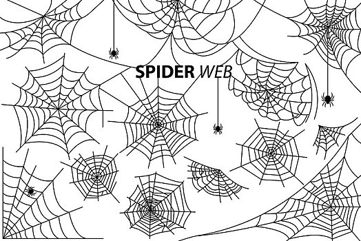 蜘蛛网,收集,插画,白色背景,矢量,铭刻,隔绝,背景,黑色,剪影,小,节肢动物,悬挂