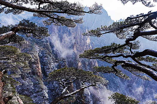 醉美黄山