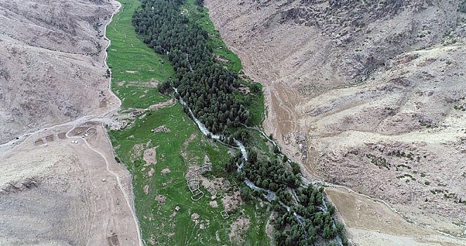新疆哈密,干旱天气下的天山河谷绿意盎然