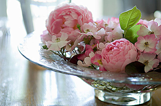 玻璃盘,粉色,玫瑰,木桌子,英国