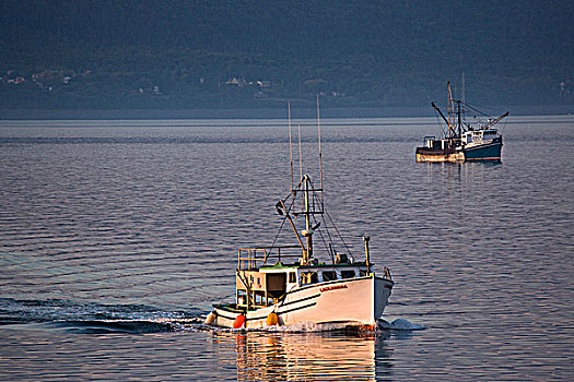 渔船,港口,安纳波利斯,新斯科舍省,加拿大
