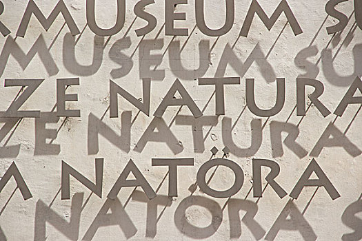 文字,自然,博物馆,南蒂罗尔,博尔查诺,意大利,欧洲