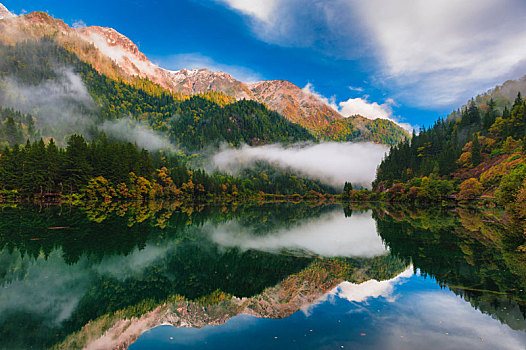 九寨沟,竹海