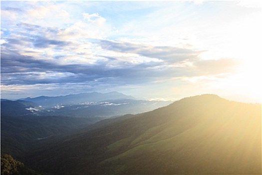 绿色,山,树林,上面