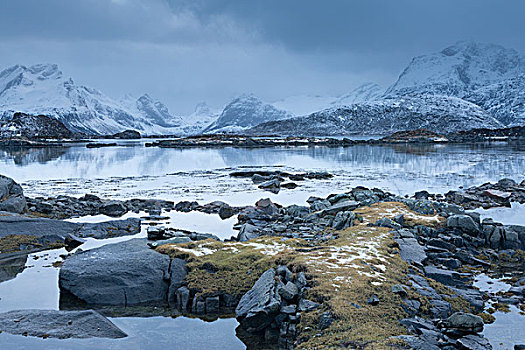 积雪,山,后面,寒冷,平静,湾,罗浮敦群岛,挪威