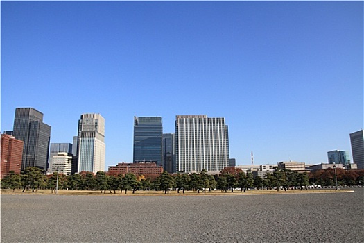 摩天大楼,公园,东京,日本