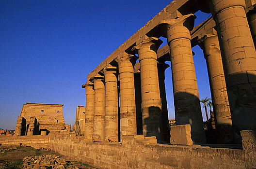 埃及,尼罗河,路克索神庙,卢克索神庙,柱廊