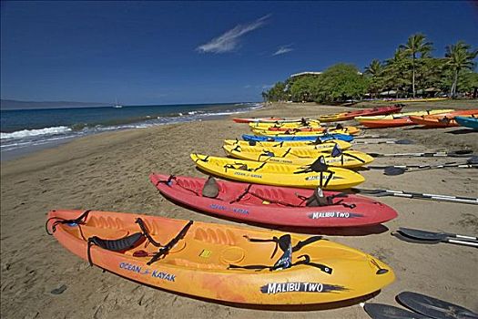 夏威夷,毛伊岛,卡亚纳帕里,海滩,皮划艇,排列,岸边,远景