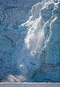 冰山,冰河,小湾,冰河湾国家公园,东南阿拉斯加,夏天