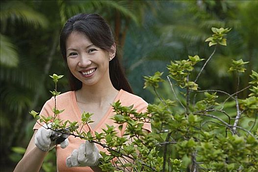 女人,花园,修剪,植物,看镜头,微笑