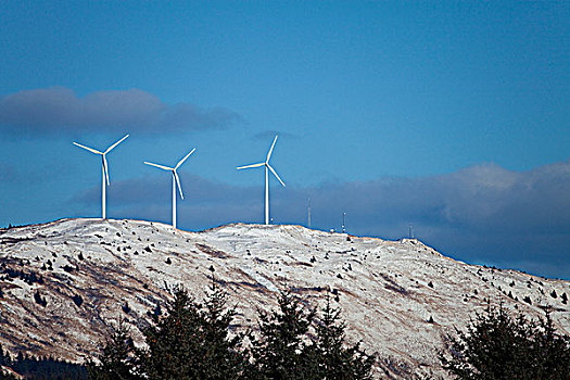 柱子,山,风,风轮机,站立,科迪亚克岛,西南方,阿拉斯加,冬天
