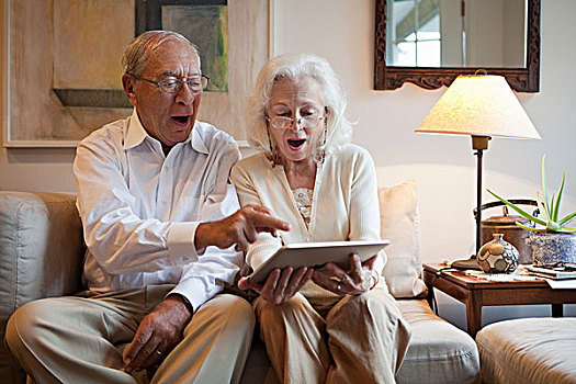 老年,夫妻,用电脑,在家