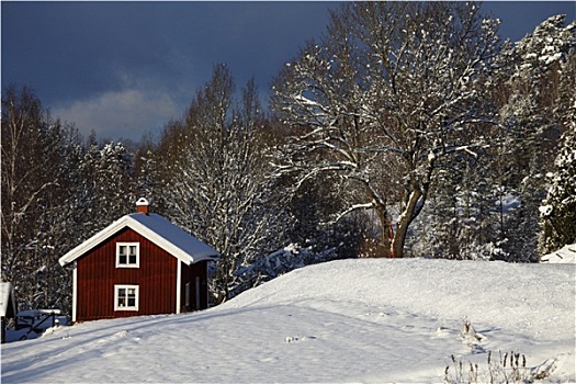 小,红色,屋舍,冬天,雪景