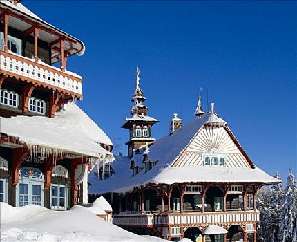冬天,积雪,屋顶,防护,风景,区域,北方,摩拉维亚,捷克共和国,中欧