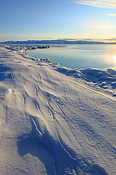 浮冰,边缘,巴芬湾,背景,北冰洋,加拿大