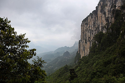 恩施,黄鹤峰,风景,景点,旅游,高山,山区,神秘,树木,植被,石头,鄂西,奇石,峡谷,壮观,云海,仙境