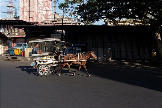 马车,街道,万鸦老