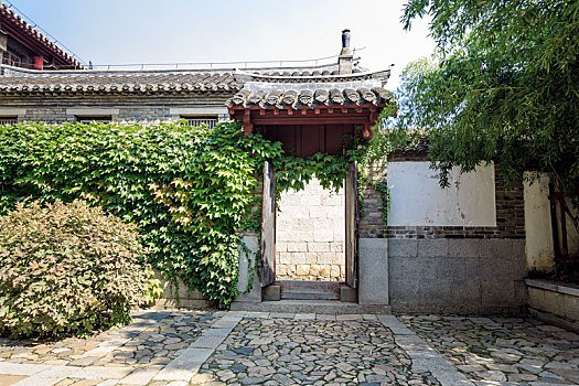 中国山东省栖霞牟氏庄园绿藤覆盖的院墙