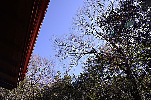 斑点,喜爱,纪念公园,房子,日本