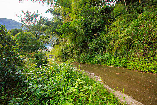 鄞州,塘溪镇,西古尖健步道,古道,山路,道路