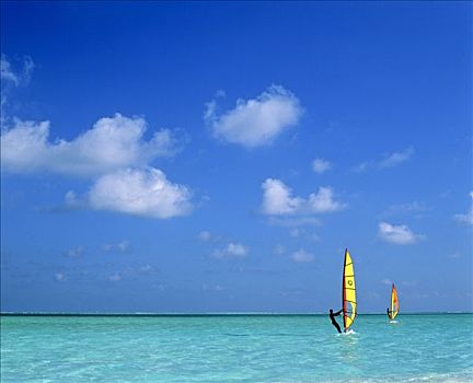 帆板,泻湖,马尔代夫,印度洋