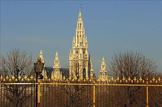 金色,栅栏,宫殿,塔,维也纳,奥地利