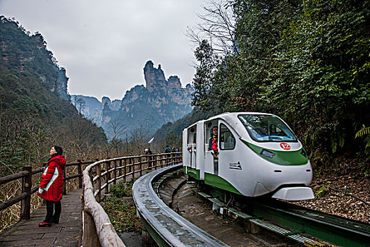 湖南张家界国家森林公园金鞭溪十里画廊,小火车