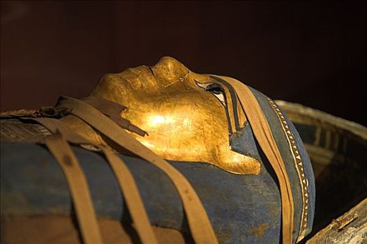 棺材,埃及人,女人,时期,国家博物馆,亚历山大