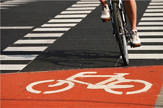 自行车,路标,骑乘