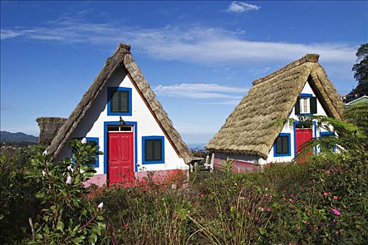 房子,传统,马德拉岛,茅草屋顶