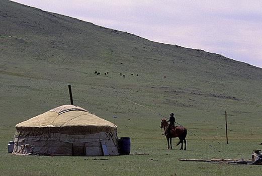 蒙古,靠近,乌兰巴托,草地,蒙古包,男人,骑马