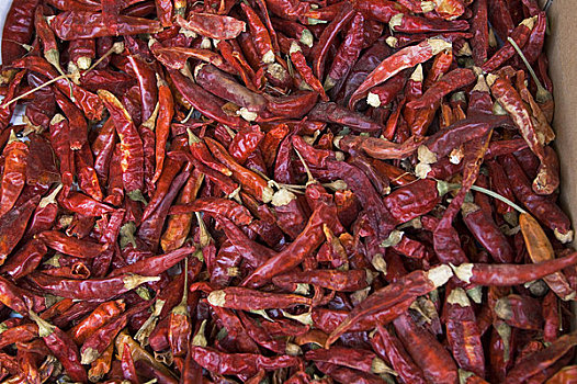 摩洛哥,卡萨布兰卡,中央市场,干燥,辣椒