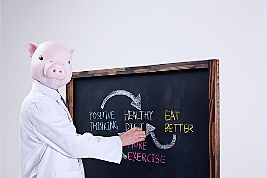 猪,头部,文字,黑板