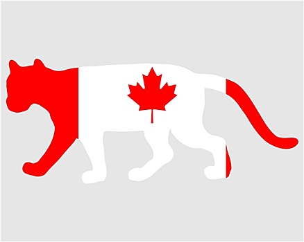 美洲狮,加拿大