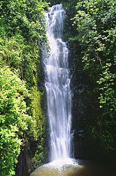夏威夷,毛伊岛,威陆亚,瀑布,山谷,围绕,茂密,绿色植物