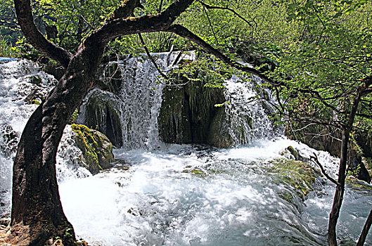 克罗地亚普利特维采湖群国家公园,十六湖,世界自然遗产