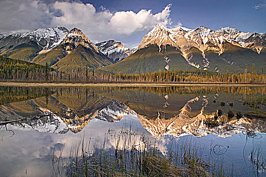 山,顶峰,幽鹤国家公园,不列颠哥伦比亚省,加拿大