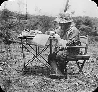 西奥多-罗斯福,坐,折叠,桌子,文字,科学,探险,巴西,十二月