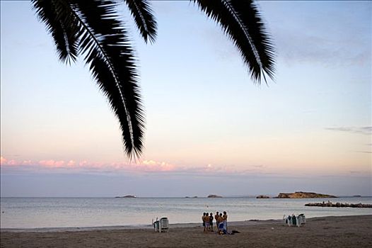 棕榈树,海滩,伊比沙岛,巴利阿里群岛,西班牙,欧洲