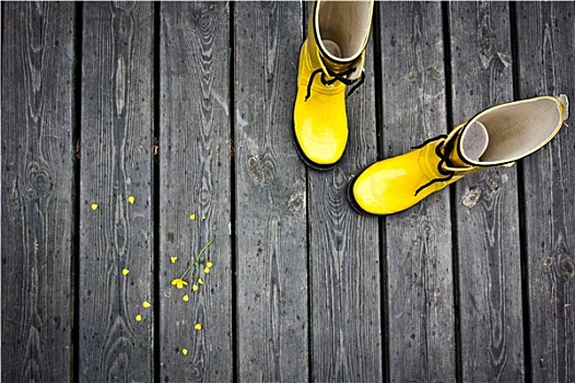 黄色,靴子
