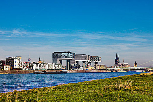 莱茵河,港口,起重机,房子,科隆,北莱茵威斯特伐利亚,德国,欧洲