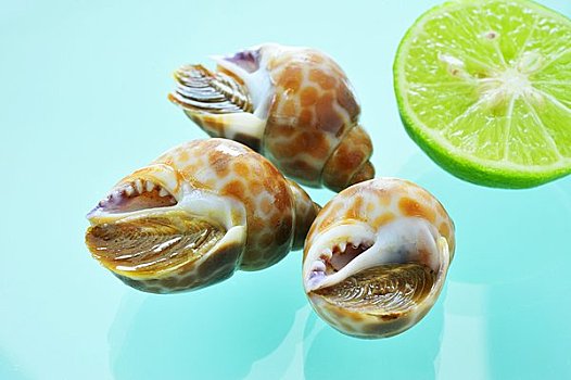 海蜗牛,柠檬,泰国