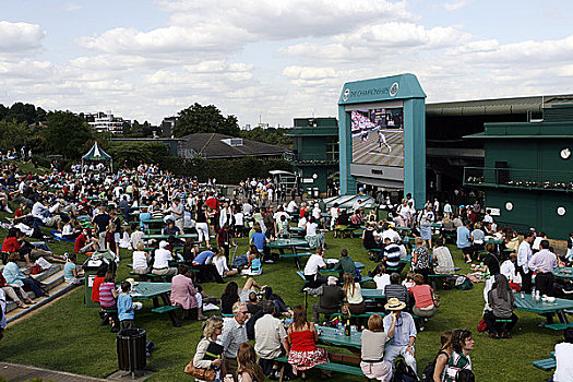 英格兰,伦敦,温布尔登,观众,看,大,平台,网球,冠军,2008年