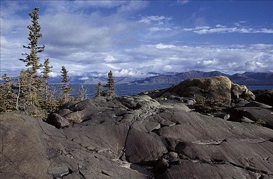 石头,高原,克卢恩国家公园,育空,加拿大,北美,世界遗产