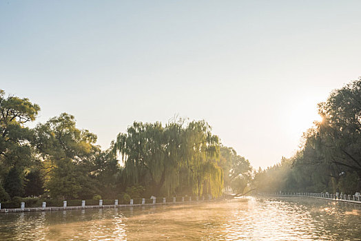 秋季中国抚顺清晨阳光下的公园池塘树林假山