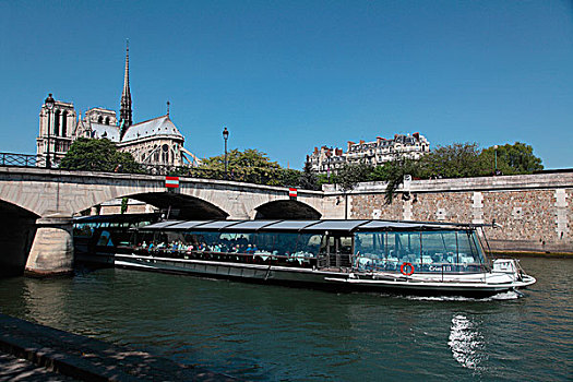 法国,巴黎,游船,塞纳河,圣母大教堂,背景